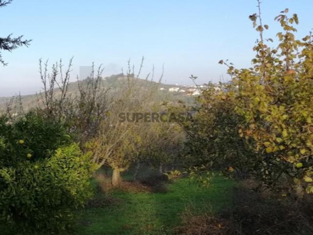 Terreno venda em Alenquer, Lisboa