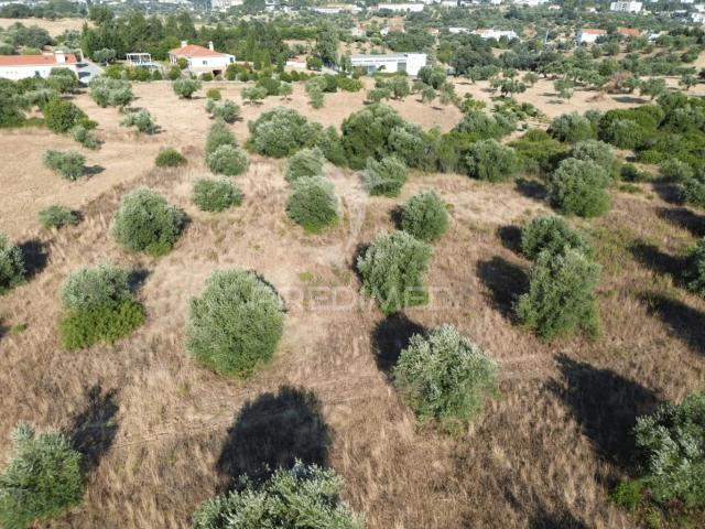 Terreno alugar em Alcanena, Santarém
