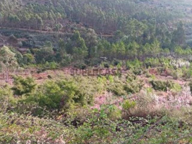 Terreno venda em Mação, Santarém
