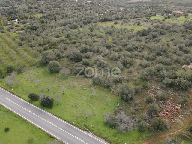 Terreno venda em São Bartolomeu De Messines, Faro