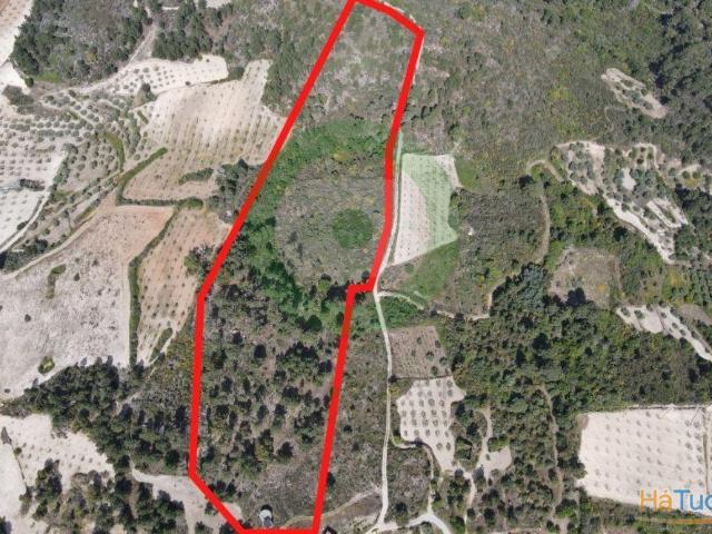 Terreno venda em Mirandela, Bragança