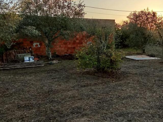 Terreno venda em Aldeia dos Fernandes, Almodôvar