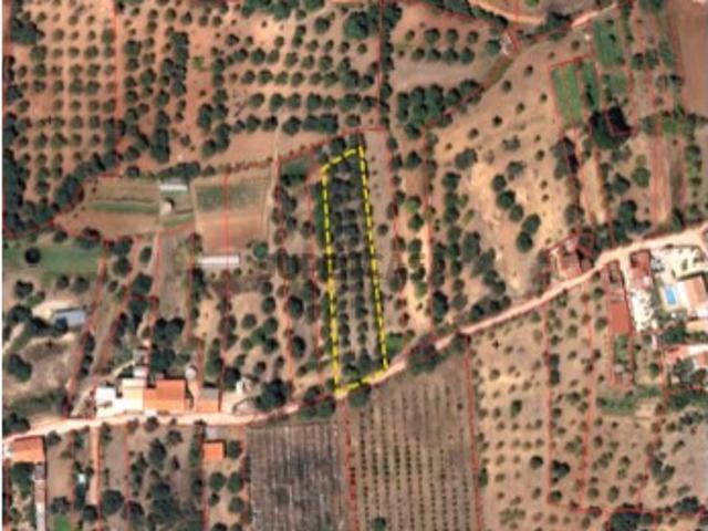 Terreno venda em Benafim, Faro
