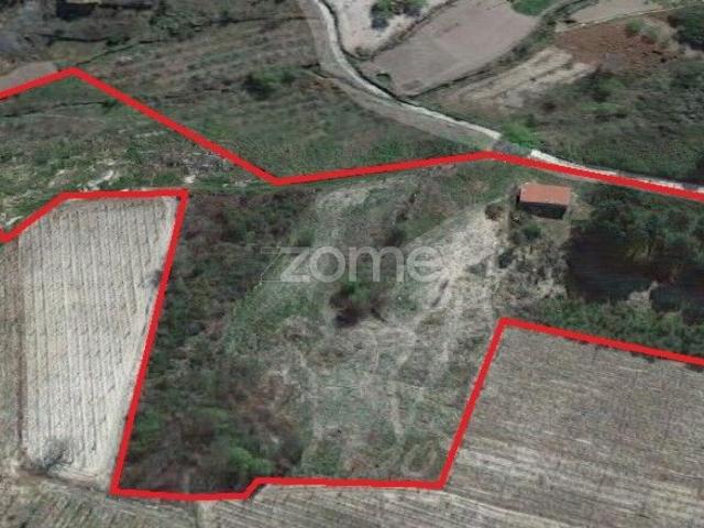 Terreno venda em Alijó, Vila Real