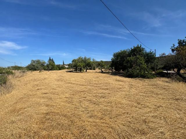 Terreno venda em São Brás De Alportel, Faro