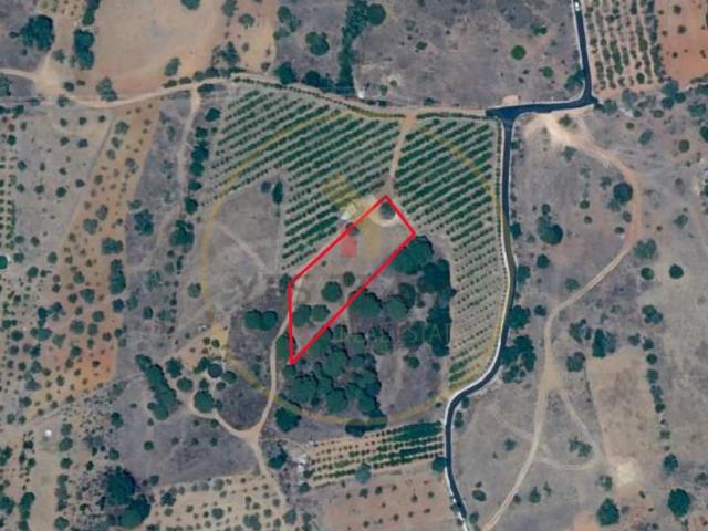 Terreno venda em Marcos Mendes, Loulé