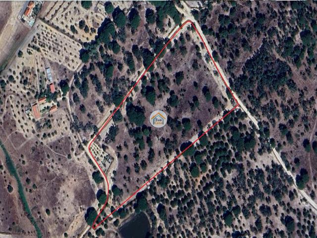 Terreno venda em Montemor-o-novo, Évora