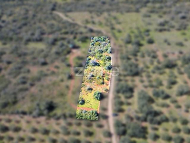 Terreno venda em Silves, Faro