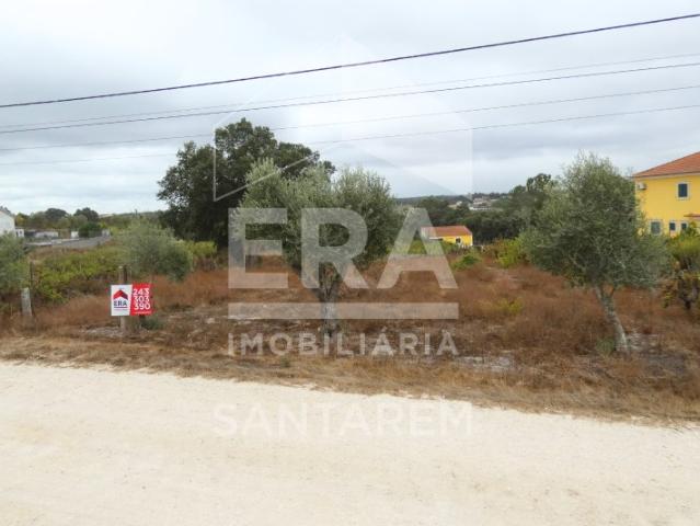 Terreno venda em Cartaxo e Vale da Pinta, Cartaxo