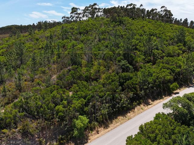 Terreno venda em Monchique, Faro