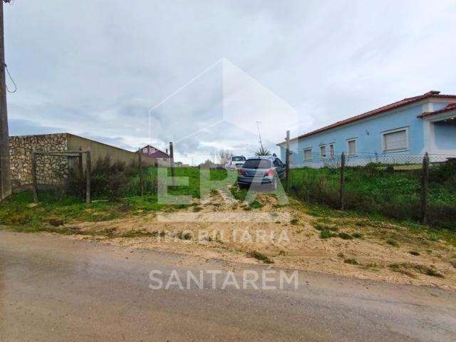 Terreno venda em Santarém