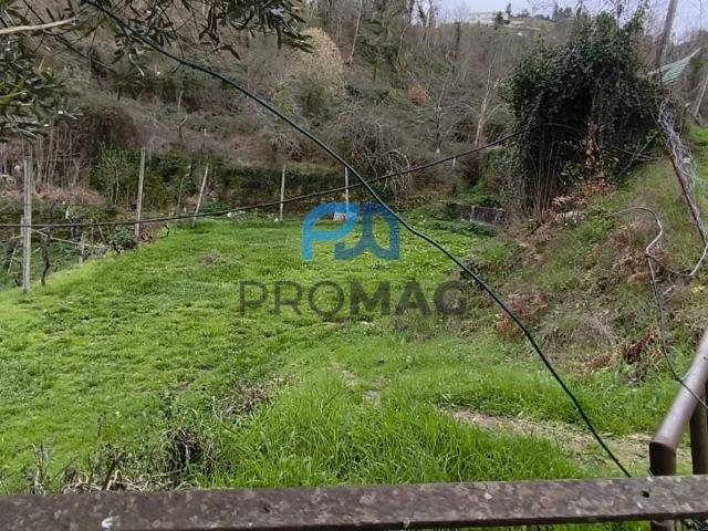 Terreno venda em Cinfães, Viseu