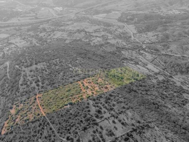 Terreno venda em São Bartolomeu De Messines, Faro
