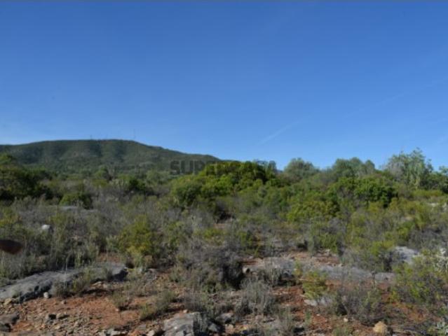Terreno venda em Faro