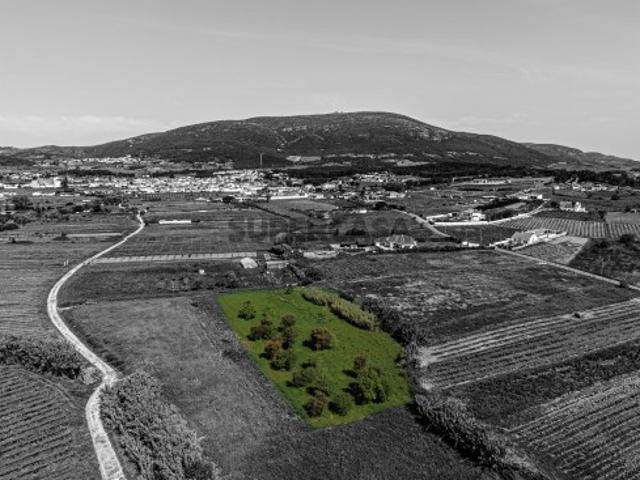 Terreno venda em Alenquer, Lisboa