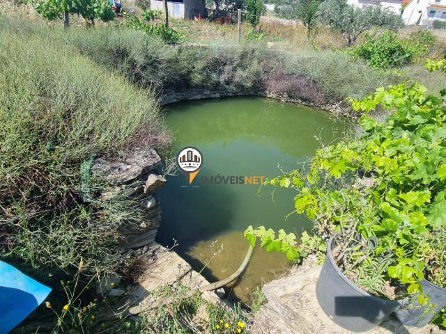 Terreno venda em Castelo Branco