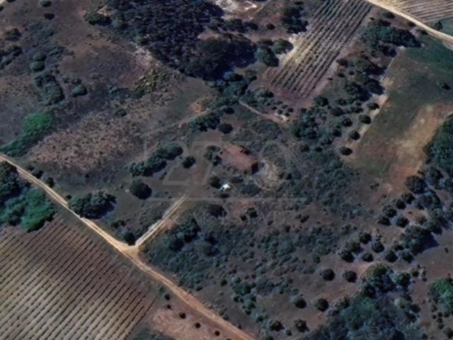 Terreno venda em Santarém
