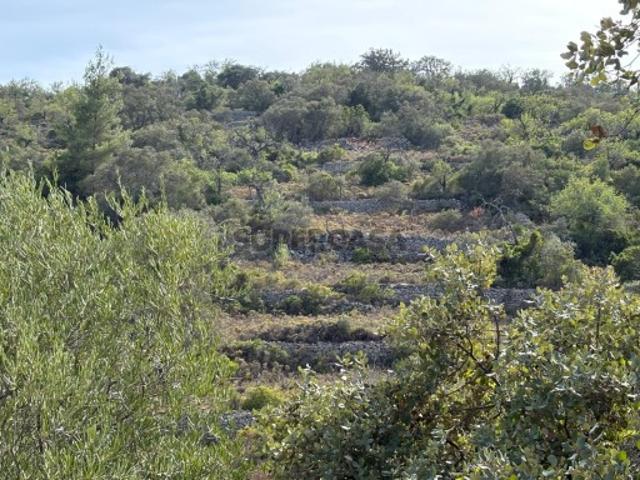 Terreno venda em Loulé (São Sebastião), Loulé