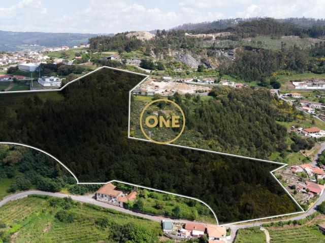 Terreno venda em Negrelos, Santo Tirso