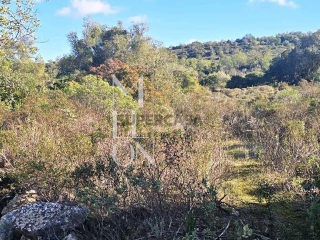 Terreno venda em Loulé, Faro