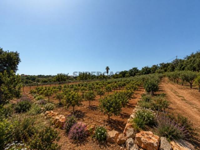 Terreno venda em Albufeira, Faro