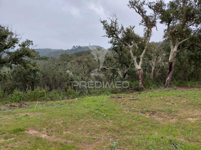 Terreno venda em Santiago Do Cacém, Setúbal