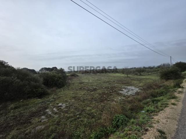 Terreno venda em Olaia e Paço, Torres Novas