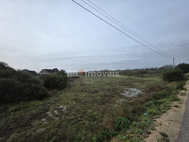 Terreno venda em Olaia e Paço, Torres Novas