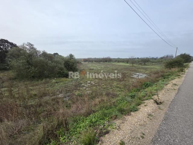 Terreno venda em Olaia e Paço, Torres Novas