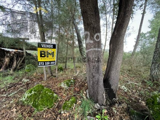 Terreno venda em Castelo Branco