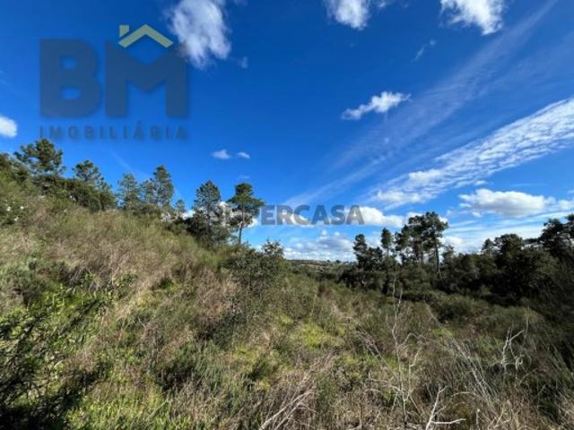 Terreno venda em Castelo Branco