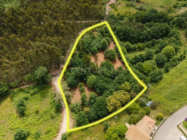 Terreno venda em Oliveira De Frades, Viseu