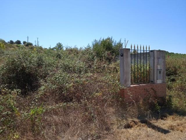 Terreno venda em Santarém