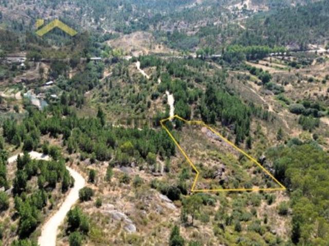 Terreno venda em Castelo Branco