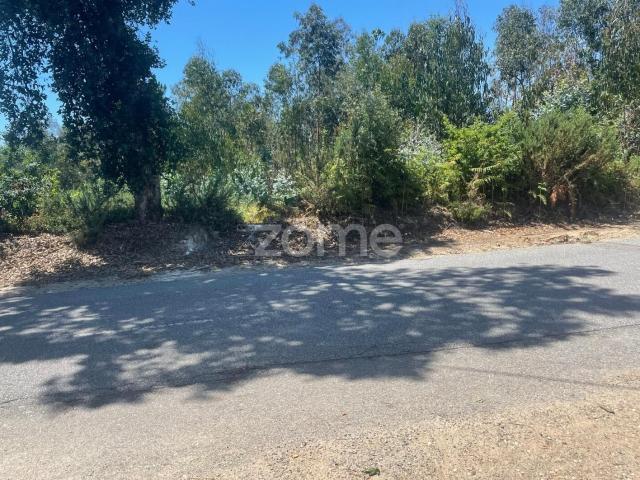 Terreno venda em Oliveira De Azeméis, Aveiro