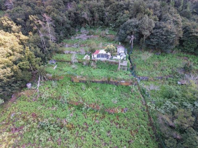Terreno venda em São Vicente, Ilha Da Madeira
