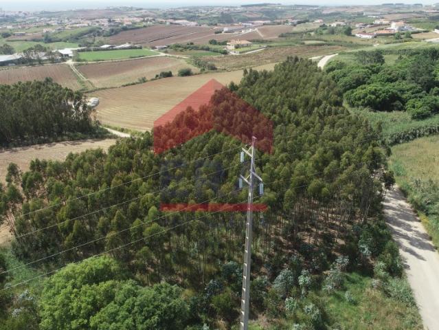 Terreno venda em Lourinhã, Lisboa