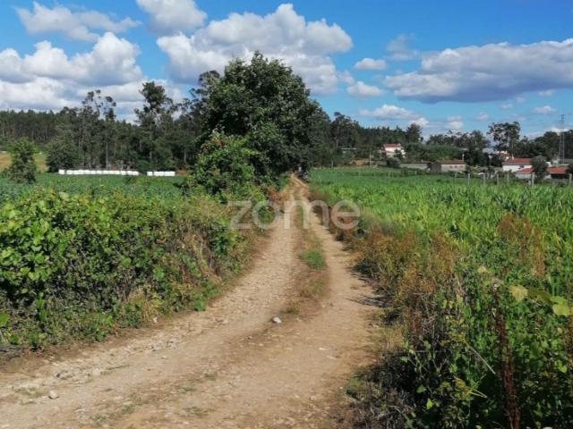 Terreno venda em Fradelos, Gavião