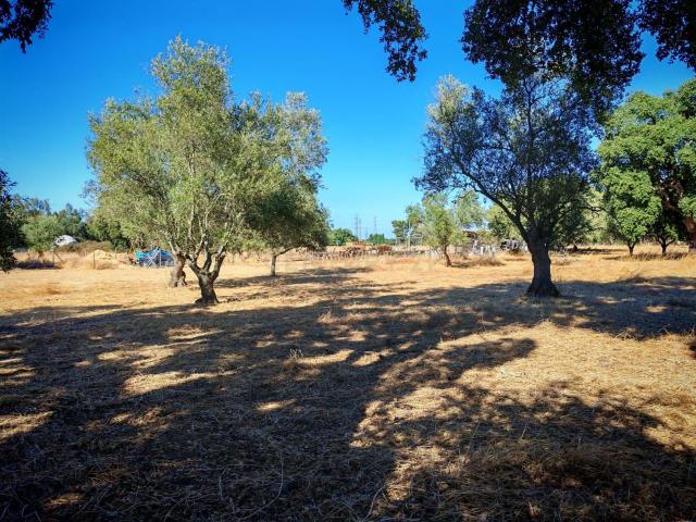Terreno venda em Palmela, Setúbal