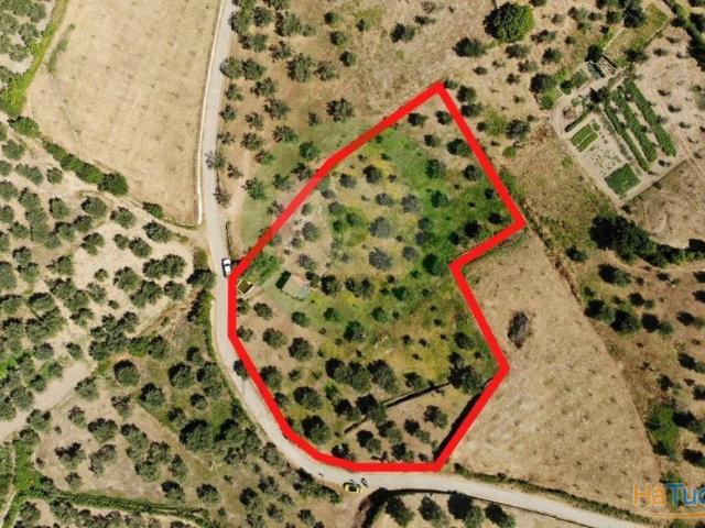Terreno venda em Argeriz, Vila Real