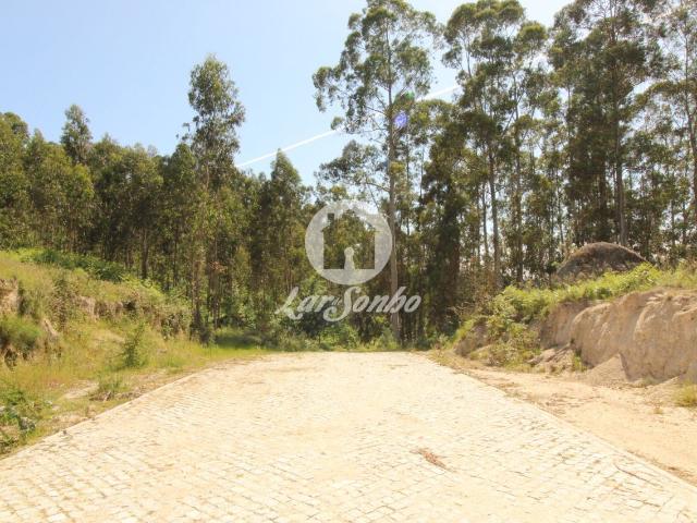 Terreno venda em Arões (São Romão), Fafe
