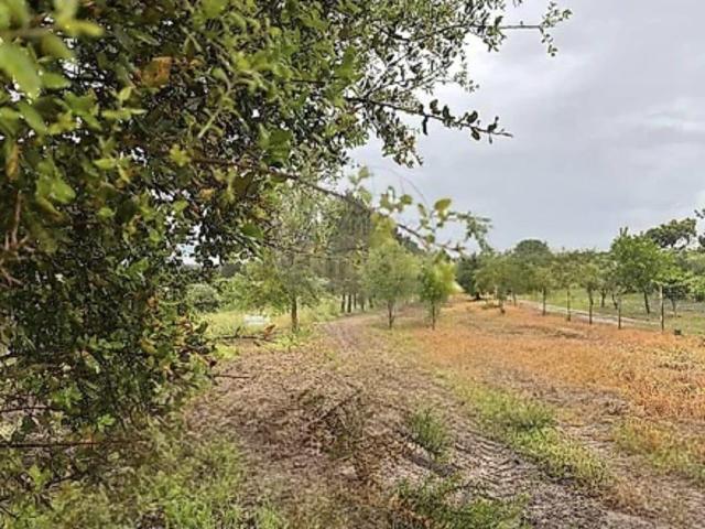 Terreno venda em Guarda, Aguiar Da Beira