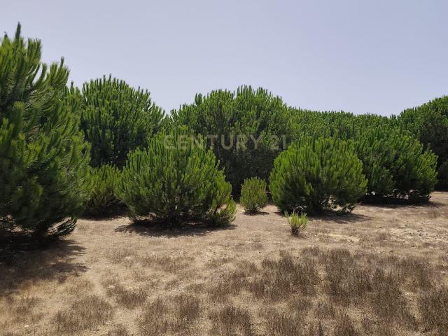 Terreno venda em Sines, Setúbal