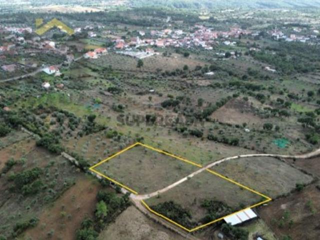 Terreno venda em Castelo Branco