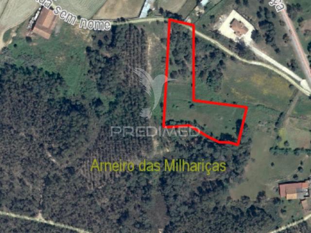 Terreno venda em Santarém