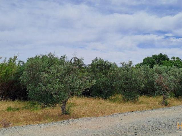 Terreno venda em Vidigueira, Beja