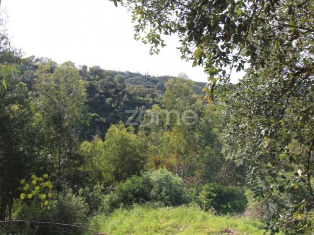 Terreno venda em Monchique, Faro