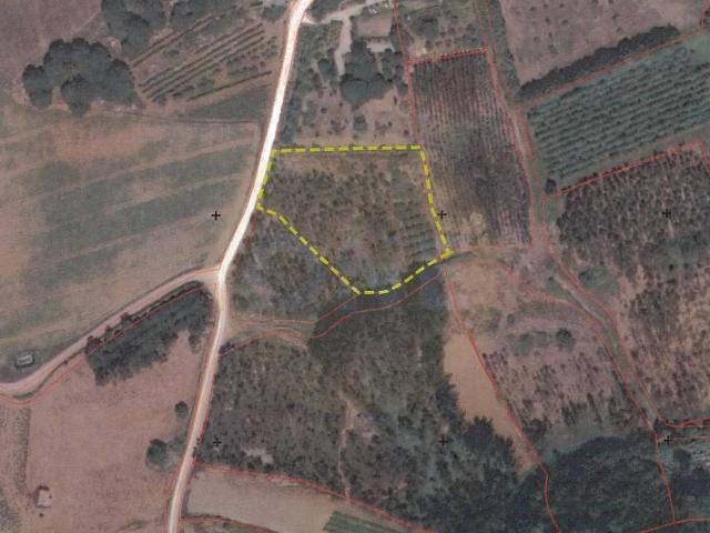 Terreno venda em Casal Serrano, Lourinhã