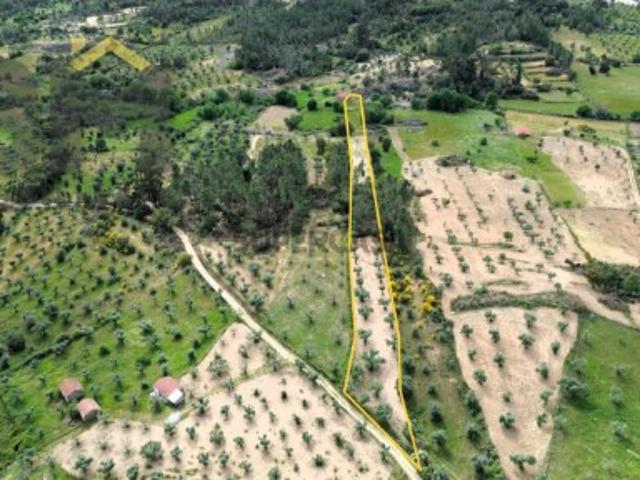 Terreno venda em Castelo Branco