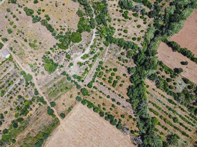 Terreno venda em Mem Moniz, Albufeira